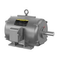 Baldor GNEM2513T-CI