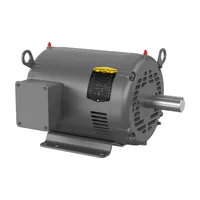 Baldor GNEM3311T