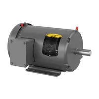 Baldor GNEM3554T