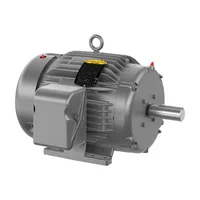 Baldor GNEM3768T-G