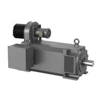 Baldor IDDRPM404006R1