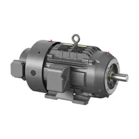 Baldor IDM2334T