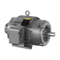 Baldor IDNM3767T