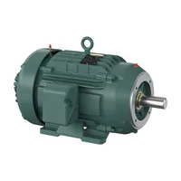 Baldor IDVSM2334T-5