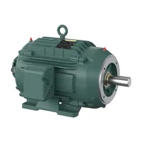 Baldor IDVSNM2333T-5