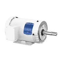 Baldor JMEWDM3545T