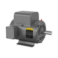 Baldor L1410T