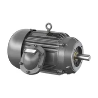Baldor VDRX251544T