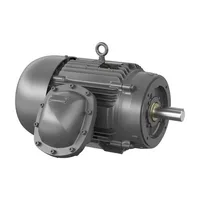 Baldor VDRX32444T