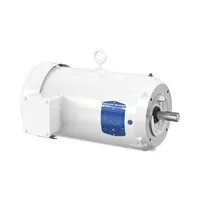 Baldor VEWDM3561T