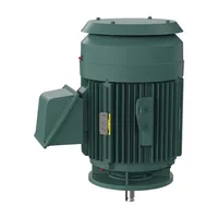 Baldor VHECP4314T