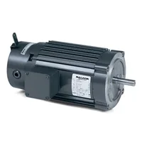 Baldor VRBM3161T
