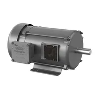 Baldor XM18262T