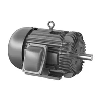 Baldor XM25222T