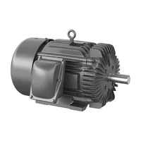 Baldor XM28262T