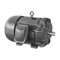 Baldor XM32522T