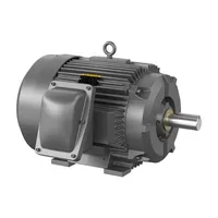 Baldor XM36642T
