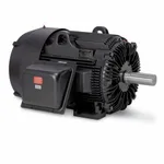 Baldor XT31252TS