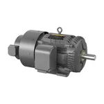 Baldor ZDM4100T