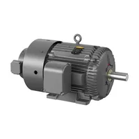 Baldor ZDM4117T