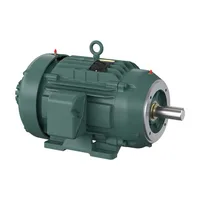 Baldor ZDVSM2334T