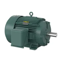 Baldor ZDVSM4316T