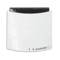 Busch-Jaeger 6320/10-24G