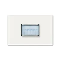 Busch-Jaeger 6345-811-101
