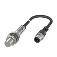 Balluff BAW M12MG2-ICC20B-BP00,2-GS04