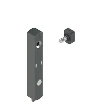 Pizzato NS D4AZ1SRK-F41N111