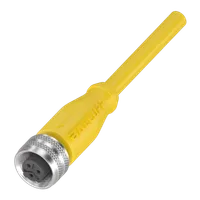 Balluff BCC A213-0000-1C-123-EX43T2-100