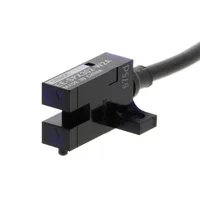 Omron EE-SPX302-W2A 1M