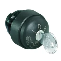 Stahl Schaltgeräte 8602A0008-1-2-r-H-MS1 Schluesselschaltervorsatz