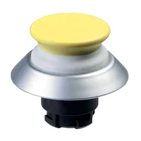 Schmersal NDTP30GB
