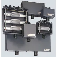 Stahl Schaltgeräte 8146/1061-K0105