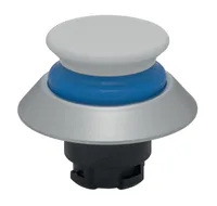 Schmersal NDTP30BL/WS
