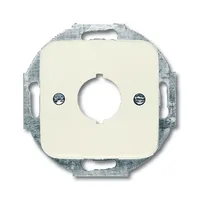 Busch-Jaeger 2534-212