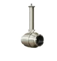 RBR Valvole S40TW Fully Welded