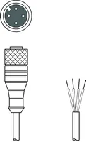 Leuze KD S-M12-4A-P1-100