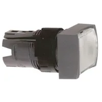 Schneider Electric ZB6DW1
