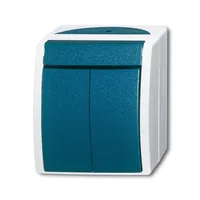 Busch-Jaeger 2601/5 W-53
