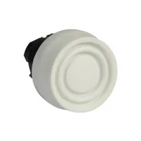Schneider Electric ZB5AP1S