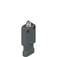 Pizzato NF B110AB-SAK