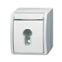 Busch-Jaeger 2733 SLW-54