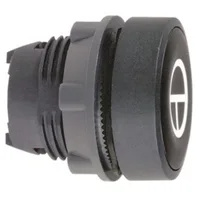 Schneider Electric ZB5AA245