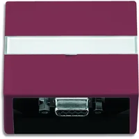 Busch-Jaeger 6123-87