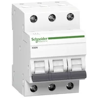 Schneider Electric A9K01310