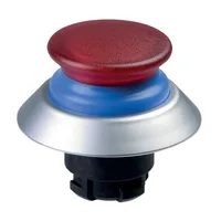 Schmersal NDLP30BL/RT