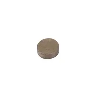 SICK MAGNET,PERMA.M1.0 D10,0* 3,0 SM2CO17