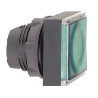 Schneider Electric ZB5CW333